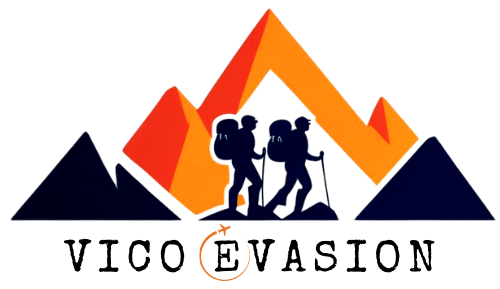 ViCoEvasion